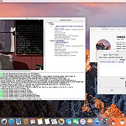 Screen Shot 2016-10-14 at 14.48.49